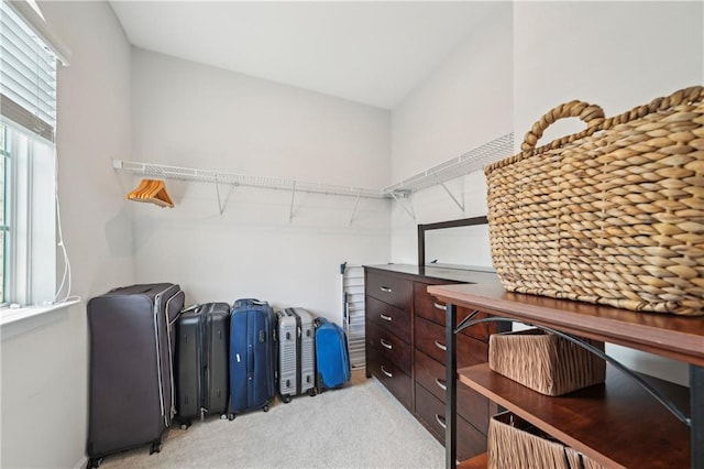 spacious closet featuring light colored carpet