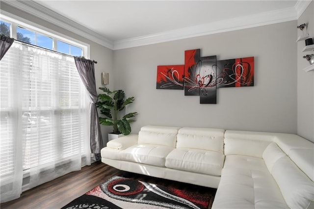 living area with wood finished floors and ornamental molding