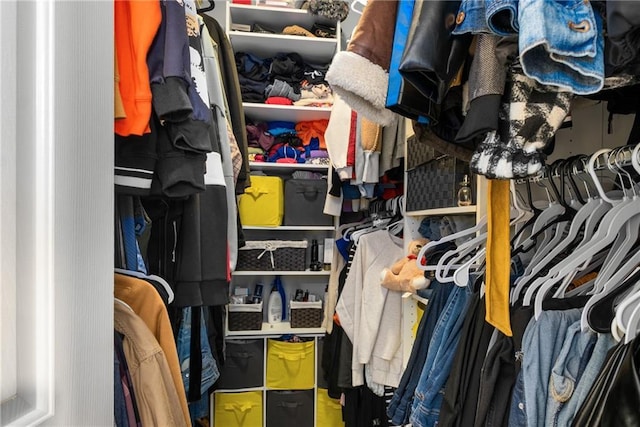 view of spacious closet