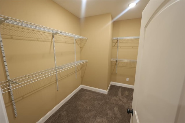 walk in closet with dark colored carpet