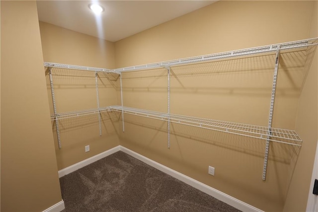 spacious closet with carpet floors