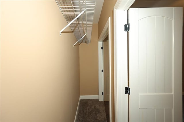 walk in closet featuring dark colored carpet