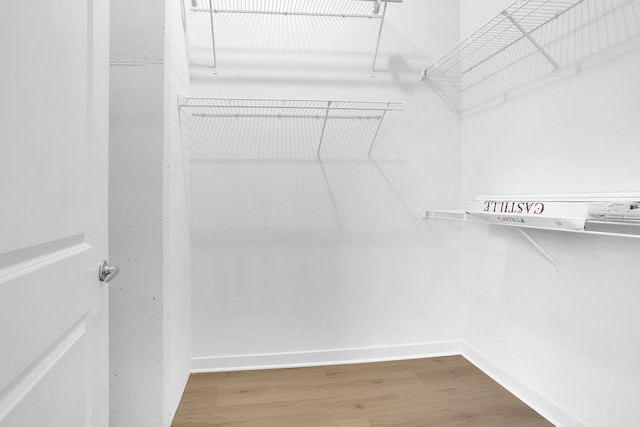 spacious closet featuring hardwood / wood-style floors