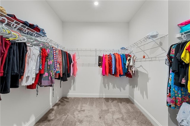 6240 Merrill View Ln, Alpharetta, GA 30004 - walk in closet with carpet flooring