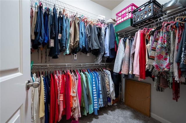 spacious closet with carpet