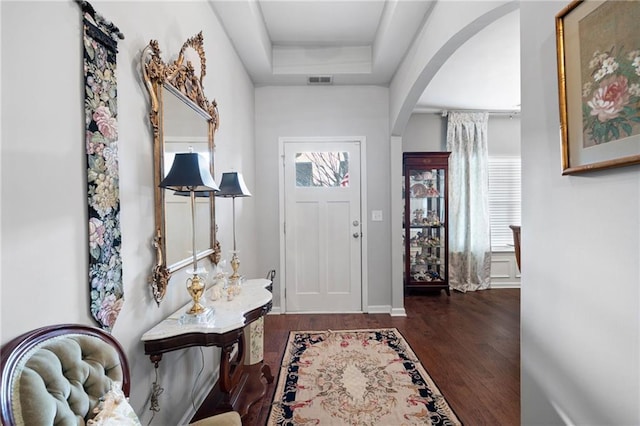 entrance foyer featuring dark wood-type flooring, a raised ceiling, and plenty of natural light