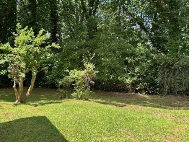 712 Emily St SE, Gainesville, GA 30501 - view of green lawn