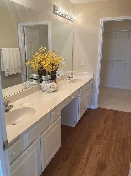 bathroom featuring vanity and wood-type flooring