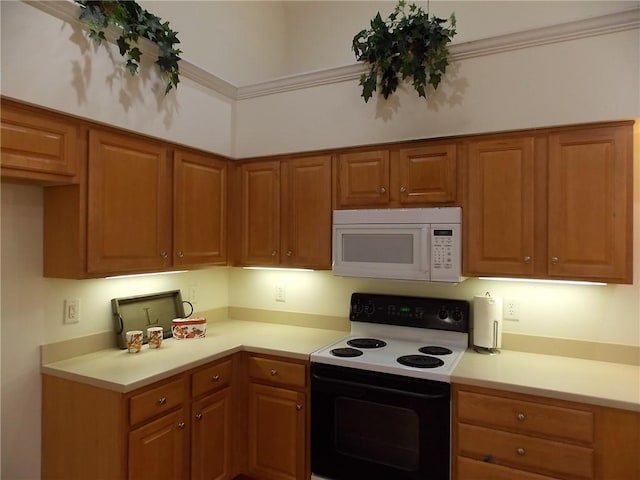 kitchen with range with electric cooktop