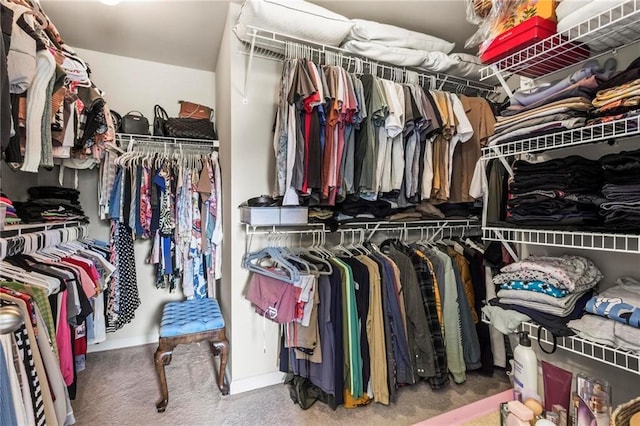 walk in closet with carpet floors