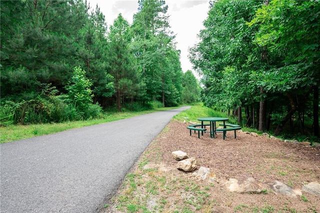 475 Azalea Xing, Dallas, GA 30132 - view of home's community