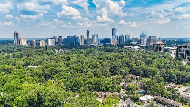 12 Ivy Rdg NE, Atlanta, GA 30342 - skyline view featuring a heavily wooded area