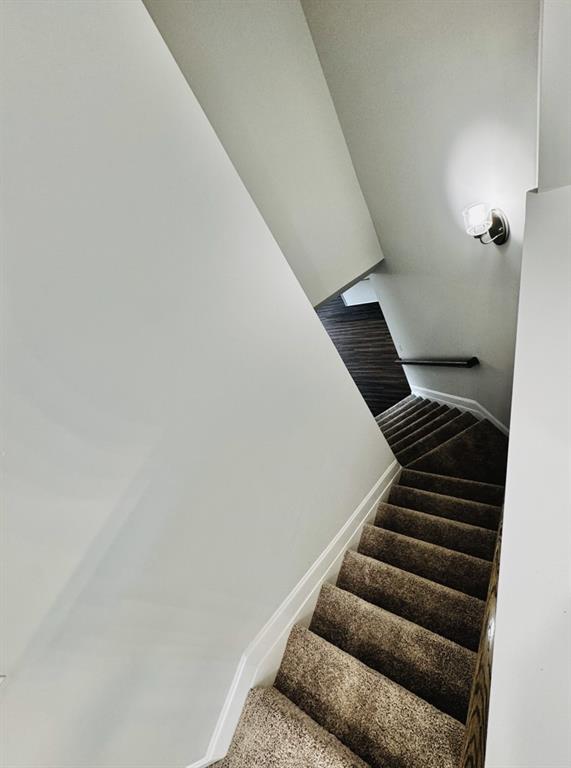 staircase featuring baseboards and carpet flooring