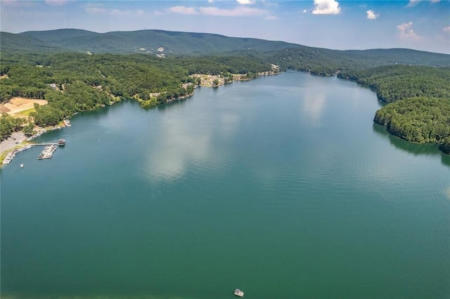 bird's eye view with a water and mountain view