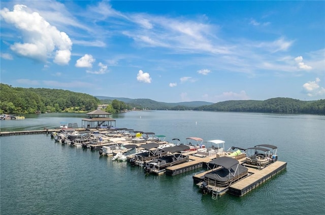 view of water feature featuring a mountain view and a dock