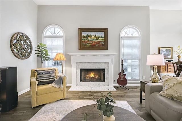 living room with a fireplace and dark hardwood / wood-style floors