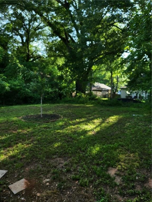 1167 Oakland Dr SW, Atlanta, GA 30310 - view of green lawn