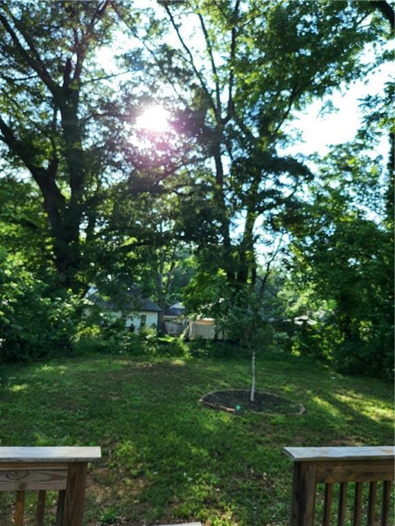 1167 Oakland Dr SW, Atlanta, GA 30310 - view of green lawn