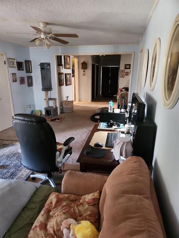 living room featuring ceiling fan, carpet flooring, and a textured ceiling