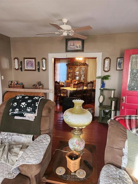 living area with a ceiling fan and wood finished floors