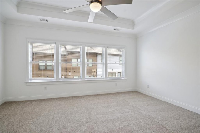 unfurnished room featuring a tray ceiling, light colored carpet, and plenty of natural light