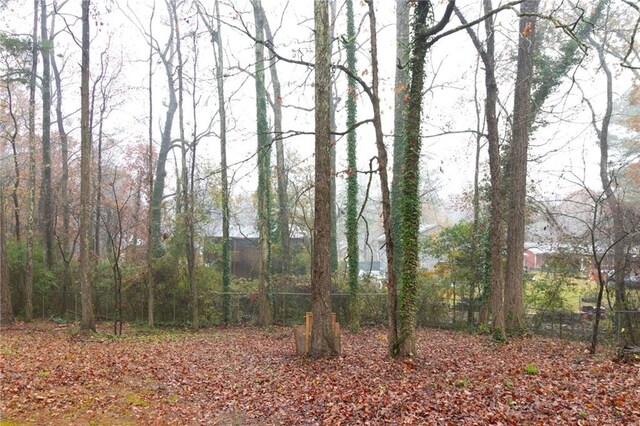 1841 Northwick Pl, Lithonia, GA 30058 - view of landscape