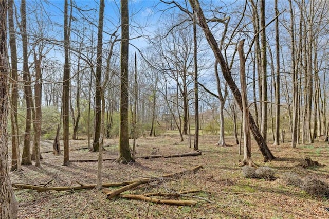 view of local wilderness