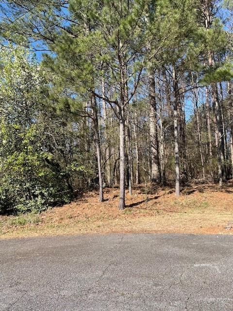 Listing photo 2 for 3397 Spinnaker Way, Acworth GA 30102