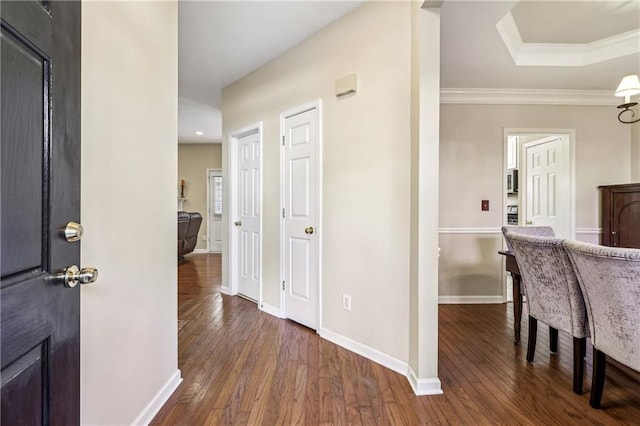 foyer featuring dark hardwood / wood-style flooring, a raised ceiling, and crown molding