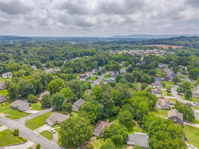 200 Wildwood Cir SE, Calhoun, GA 30701 - aerial view of residential area with a heavily wooded area