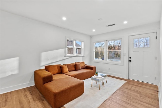 living room featuring light hardwood / wood-style flooring and a healthy amount of sunlight