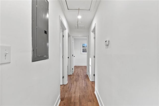 hall featuring electric panel and wood-type flooring