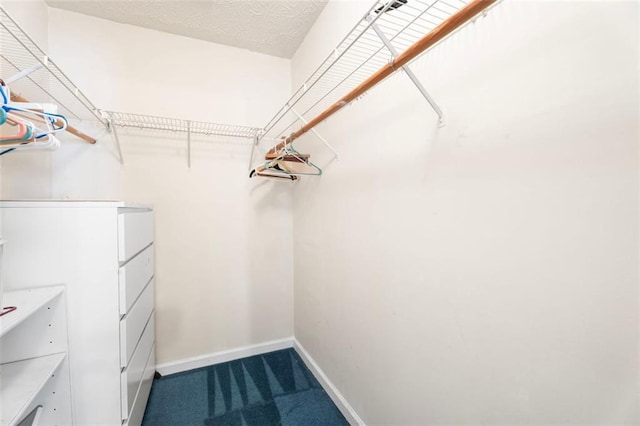 spacious closet featuring carpet