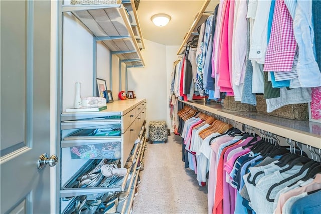 2313 Saint Davids Sq NW Unit 12, Kennesaw, GA 30152 - spacious closet with carpet