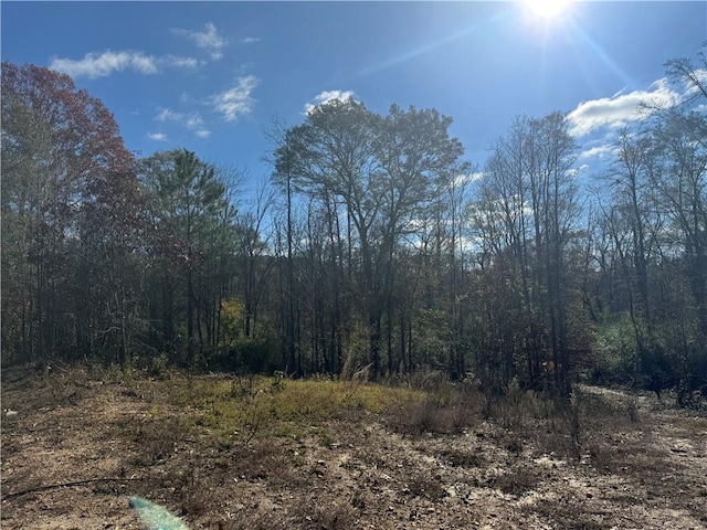 2.8 Wilson Rd, Temple GA, 30179 land for sale