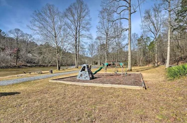 view of jungle gym