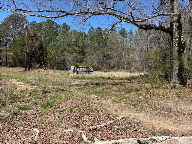 view of yard featuring a forest view