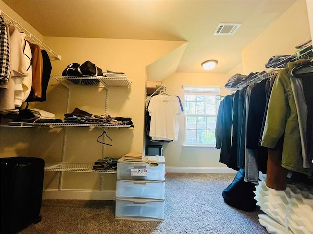 2579 Wimberley Pine Ct, Dacula, GA 30019 - spacious closet with carpet flooring