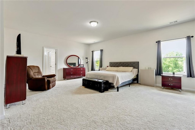 115 Copeland Bnd, Jasper, GA 30143 - carpeted bedroom with multiple windows and baseboards