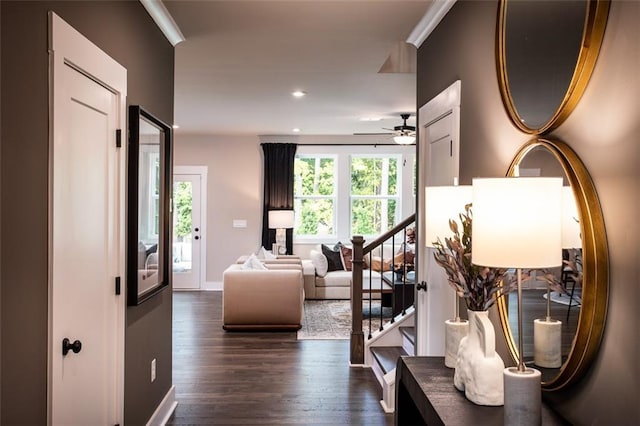 hall featuring dark hardwood / wood-style floors