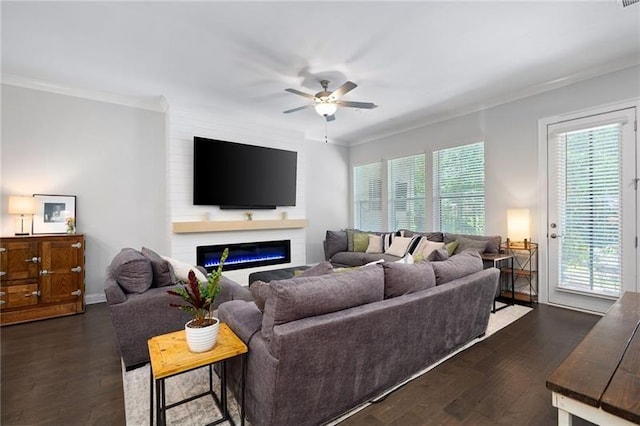 living room with a fireplace, dark hardwood / wood-style floors, ceiling fan, and crown molding