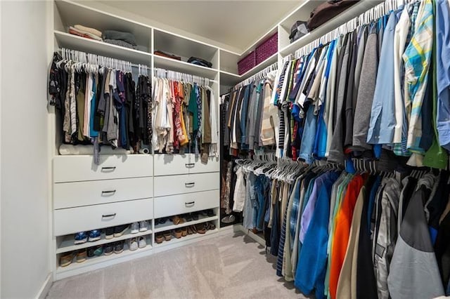 walk in closet featuring carpet floors