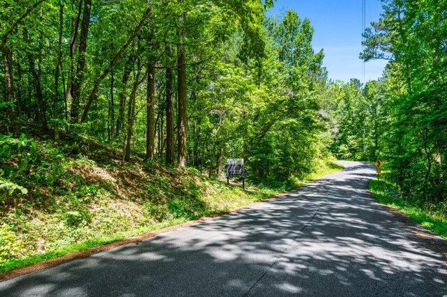 00 Rock Springs Pass, Dallas, GA 30157