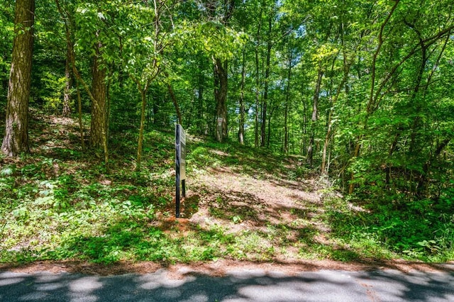 00 Rock Springs Pass, Dallas, GA 30157