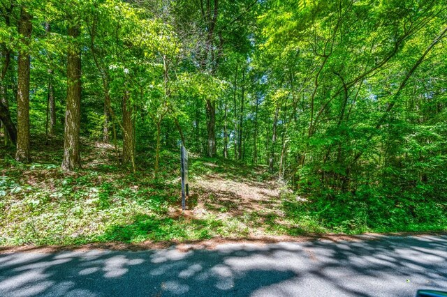 00 Rock Springs Pass, Dallas, GA 30157
