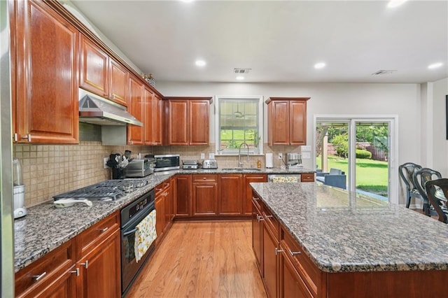 852 Van Briggle Path, Sugar Hill, GA 30518 - kitchen featuring stainless steel appliances, under cabinet range hood, plenty of natural light, light wood-style floors, and recessed lighting
