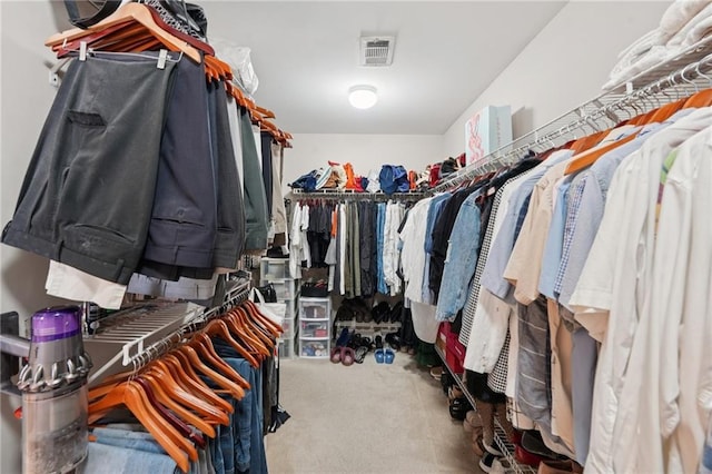 852 Van Briggle Path, Sugar Hill, GA 30518 - spacious closet with carpet floors
