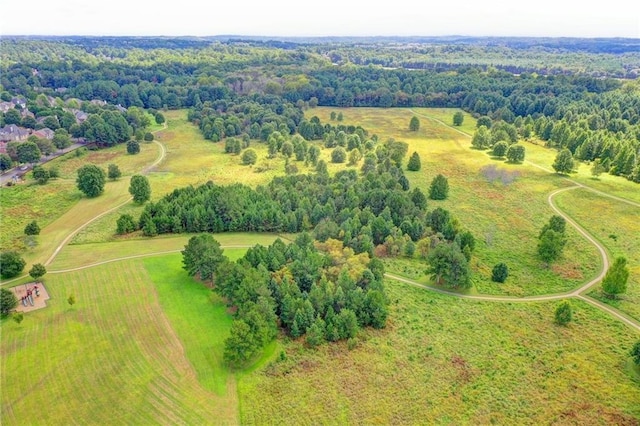 4770 Spring Park Cir, Suwanee, GA 30024 - aerial view