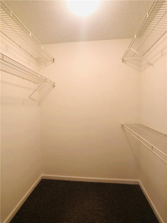 4645 Valais Ct Unit 10, Johns Creek, GA 30022 - view of spacious closet