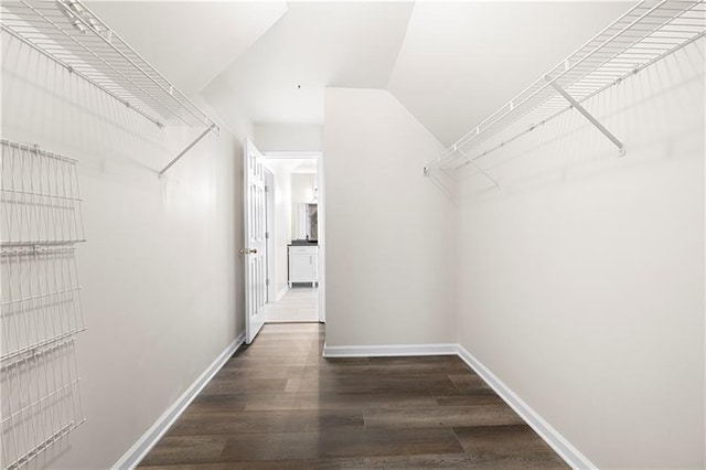 spacious closet featuring vaulted ceiling and wood finished floors